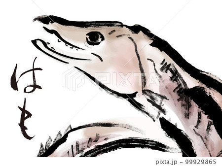 鱧の手描き和風イラスト素材 99929865