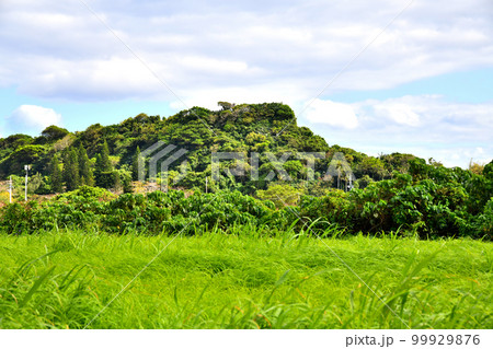 摩文仁の丘/黎明之塔方面を望む(沖縄県糸満市)【2023.2】 摩文仁の丘/黎明之塔方面を望む(沖縄県糸満市)【2023.2】 99929876