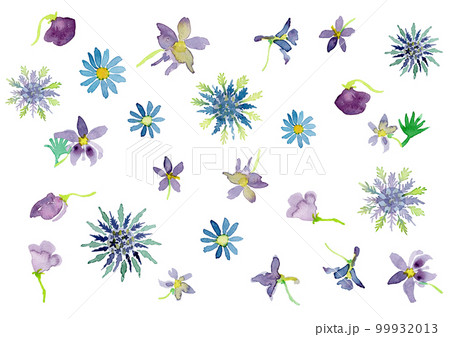 青い花の水彩イラスト 99932013