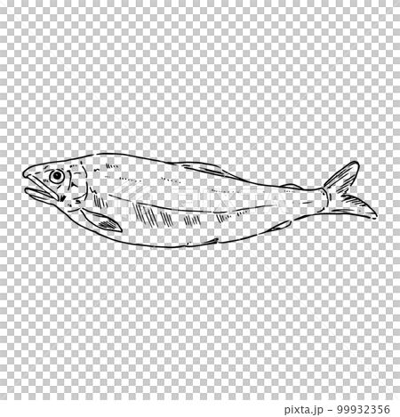Realistic hand-drawn illustration of ayu 99932356