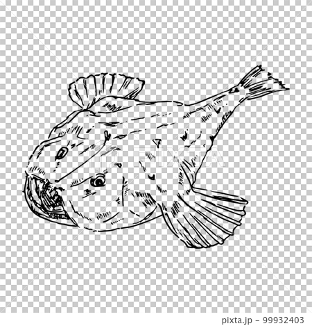 アンコウのリアルな手描きイラスト 99932403