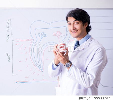 Young handsome dentist in front of the whiteboard Young handsome dentist in front of the whiteboard 99933787