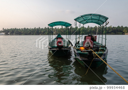 Backwaters of Kemmanu delta 99934468