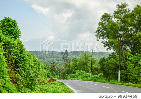 Green hills on the outskirts of Mangalore, India 99934469