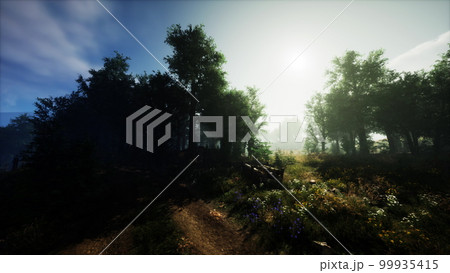 Misty morning in the woods Misty morning in the woods 99935415