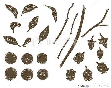 手描きのブルーベリーのシルエットイラスト素材 99935628
