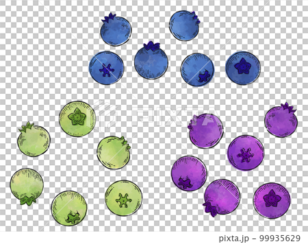 水彩新鮮藍莓插畫素材 水彩新鮮藍莓插畫素材 99935629