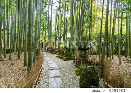 【神奈川県】鎌倉にある報国寺の竹林 【神奈川県】鎌倉にある報国寺の竹林 99936334