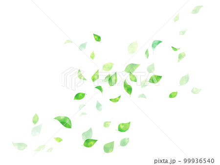 水彩 手書き 新緑フレーム 背景 水彩 手書き 新緑フレーム 背景 99936540