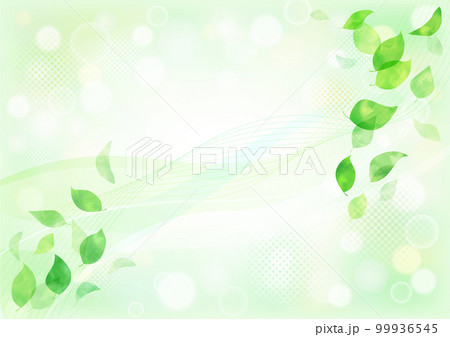 水彩 手書き 新緑フレーム 背景 水彩 手書き 新緑フレーム 背景 99936545