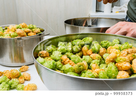 Green and orange fresh hop cones for making beer and bread in a stainless steel bowl. close up. macro 99938373