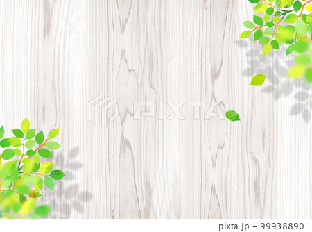 新緑と木目のフレーム　背景素材 99938890