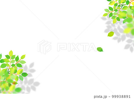 新緑と木目のフレーム　背景素材 99938891