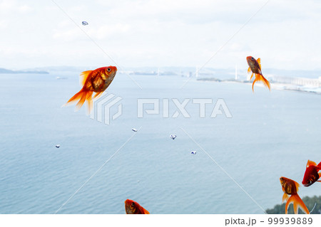 空中を泳ぐ金魚たち 99939889