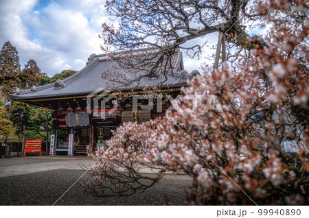 千葉県成田市 早朝の成田山新勝寺 千葉県成田市 早朝の成田山新勝寺 99940890