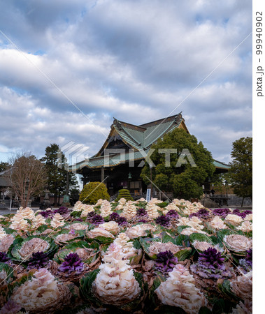 千葉県成田市 早朝の成田山新勝寺 千葉県成田市 早朝の成田山新勝寺 99940902