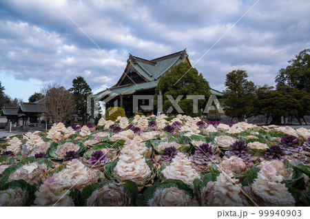 千葉県成田市　早朝の成田山新勝寺 99940903