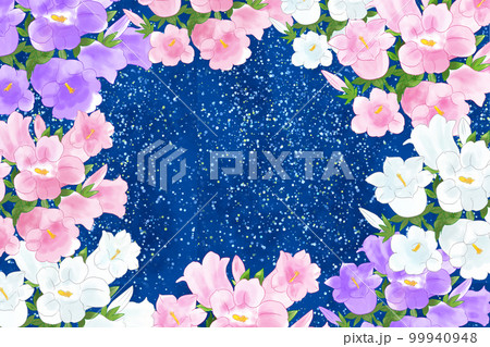 風鈴草・釣鐘草・カンパニュラ星空 風鈴草・釣鐘草・カンパニュラ星空 99940948