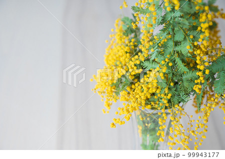 木目のテーブルに置かれた花瓶に入ったミモザ3(2023.3月午前中撮影) 木目のテーブルに置かれた花瓶に入ったミモザ3(2023.3月午前中撮影) 99943177