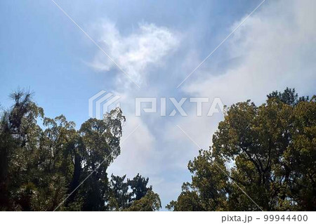 綺麗な春空 綺麗な春空 99944400