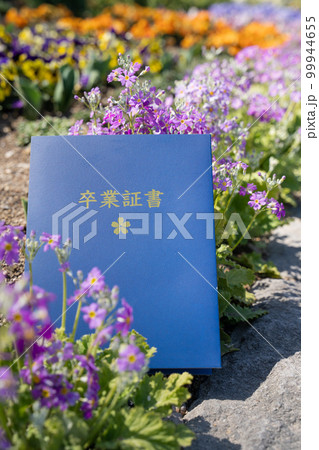お花いっぱいの卒業証書 お花いっぱいの卒業証書 99944655