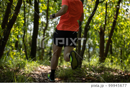 Woman trail runner running in summer forest trail Woman trail runner running in summer forest trail 99945677