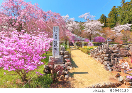 あきる野市 龍珠院の桜 あきる野市 龍珠院の桜 99946189