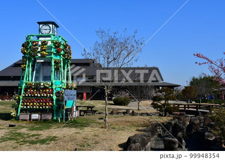 冬の佐布里梅林 99948354