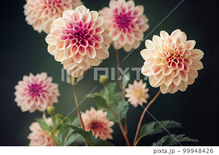Ravishing digital illustration of blossom dahlia flowers garden. 99948426