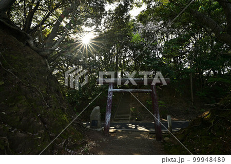 新井崎神社より 新井崎神社より 99948489
