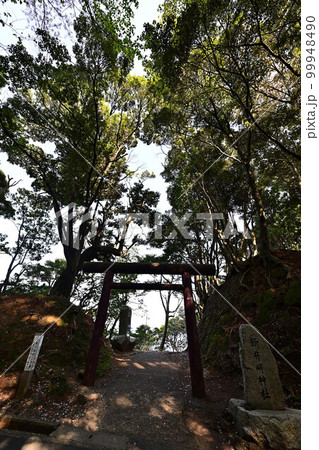 新井崎神社より 新井崎神社より 99948490