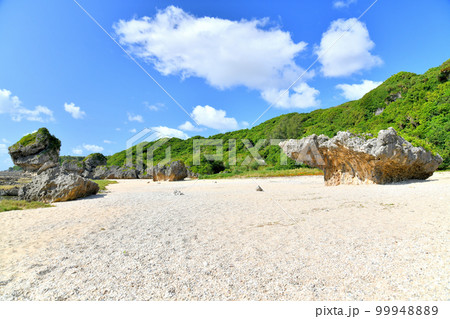 具志頭浜／ぐしちゃん浜(沖縄県八重瀬町)【2023.3】 99948889