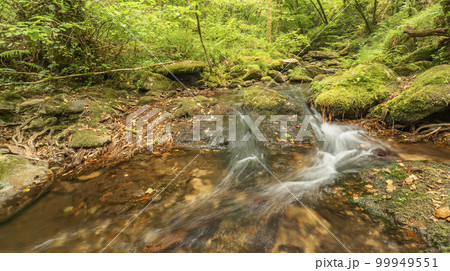Fragas do Eume Natural Park, Pontedeume, Spain 99949551
