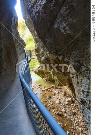 Gorge of La Yecla, Burgos, Spain 99949554