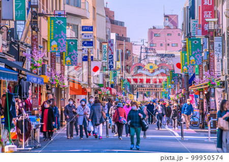 日本の東京都市景観　巣鴨地蔵通商店街などを望む 99950574