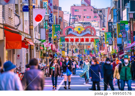 日本の東京都市景観　巣鴨地蔵通商店街などを望む 99950576