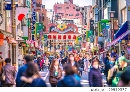 日本の東京都市景観 巣鴨地蔵通商店街などを望む 日本の東京都市景観 巣鴨地蔵通商店街などを望む 99950577