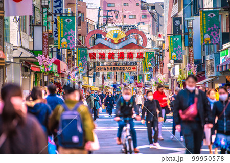 日本の東京都市景観 巣鴨地蔵通商店街などを望む 日本の東京都市景観 巣鴨地蔵通商店街などを望む 99950578
