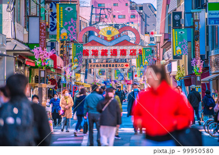 日本の東京都市景観　巣鴨地蔵通商店街などを望む 99950580