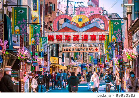 日本の東京都市景観　巣鴨地蔵通商店街などを望む 99950582