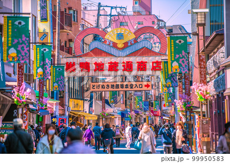 日本の東京都市景観　巣鴨地蔵通商店街などを望む 99950583