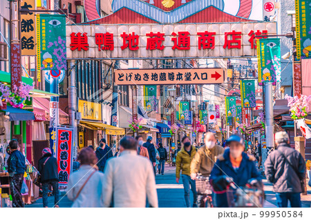 日本の東京都市景観　巣鴨地蔵通商店街などを望む 99950584