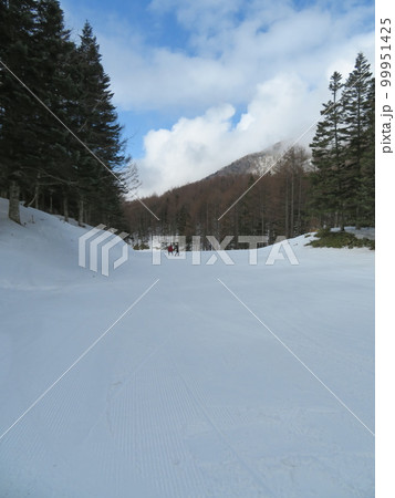 丸沼高原スキー場 丸沼高原スキー場 99951425