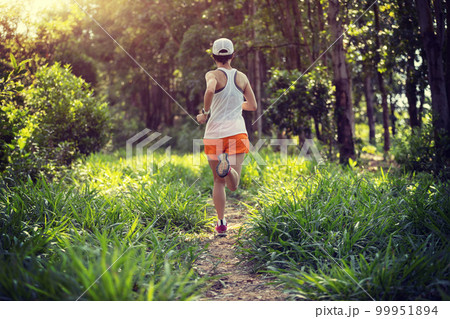 Trail runner running in summer forest trail Trail runner running in summer forest trail 99951894