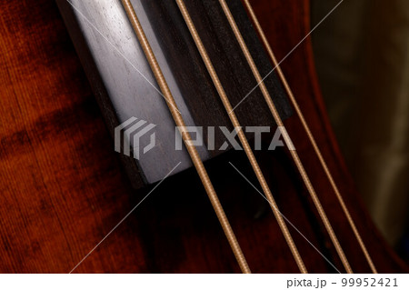 strings and the fingerboard of a double bass strings and the fingerboard of a double bass 99952421