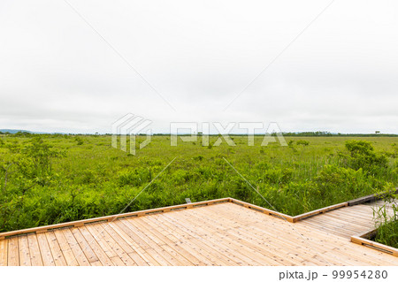 北海道釧路湿原温根内木道にある展望テラスからの風景 99954280