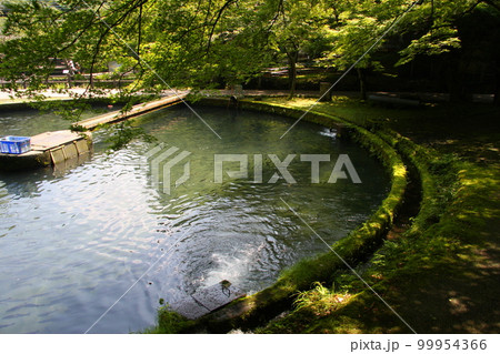 日本最古(明治11年開設)の養鱒場、醒井養鱒場 日本最古(明治11年開設)の養鱒場、醒井養鱒場 99954366