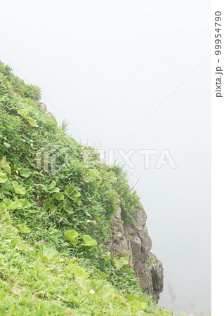 霧多布岬からの断崖風景 99954790