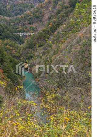 日本　静岡県榛原郡川根本町にある関の沢展望台から見える紅葉に囲まれた大井川 99955619