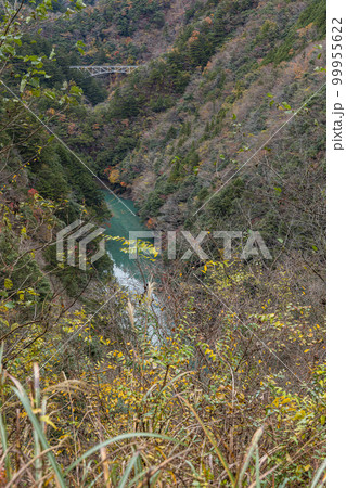 日本 静岡県榛原郡川根本町にある関の沢展望台から見える紅葉に囲まれた大井川 日本 静岡県榛原郡川根本町にある関の沢展望台から見える紅葉に囲まれた大井川 99955622